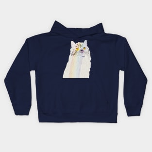 Rainbow Cat Kids Hoodie